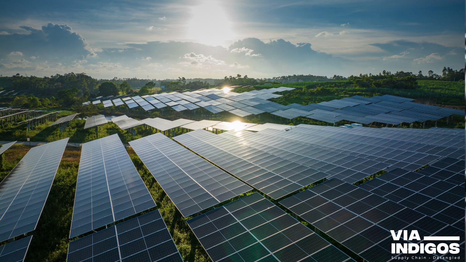 Sustainable Solutions: Large-Scale Solar Farm Harnessing Renewable Energy for a Sustainable Future.